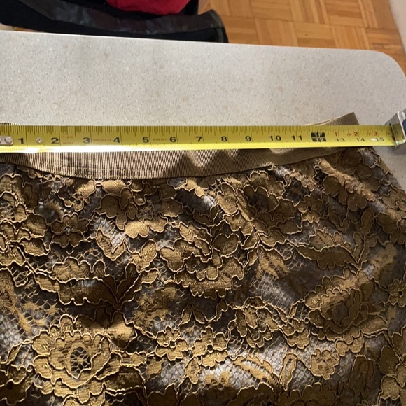 Pencil very sexy mesh skirt with lining from LOFT. - Picture 9 of 9